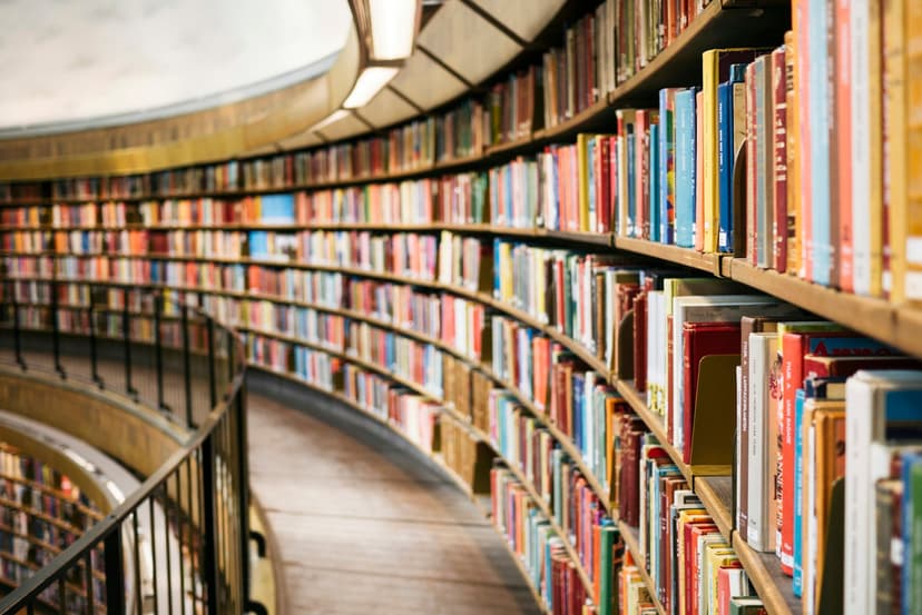 How to Build a Reading Habit in Children Aged 4 to 10