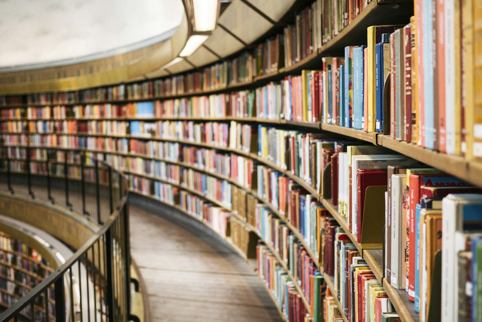 Students reading in a modern school library